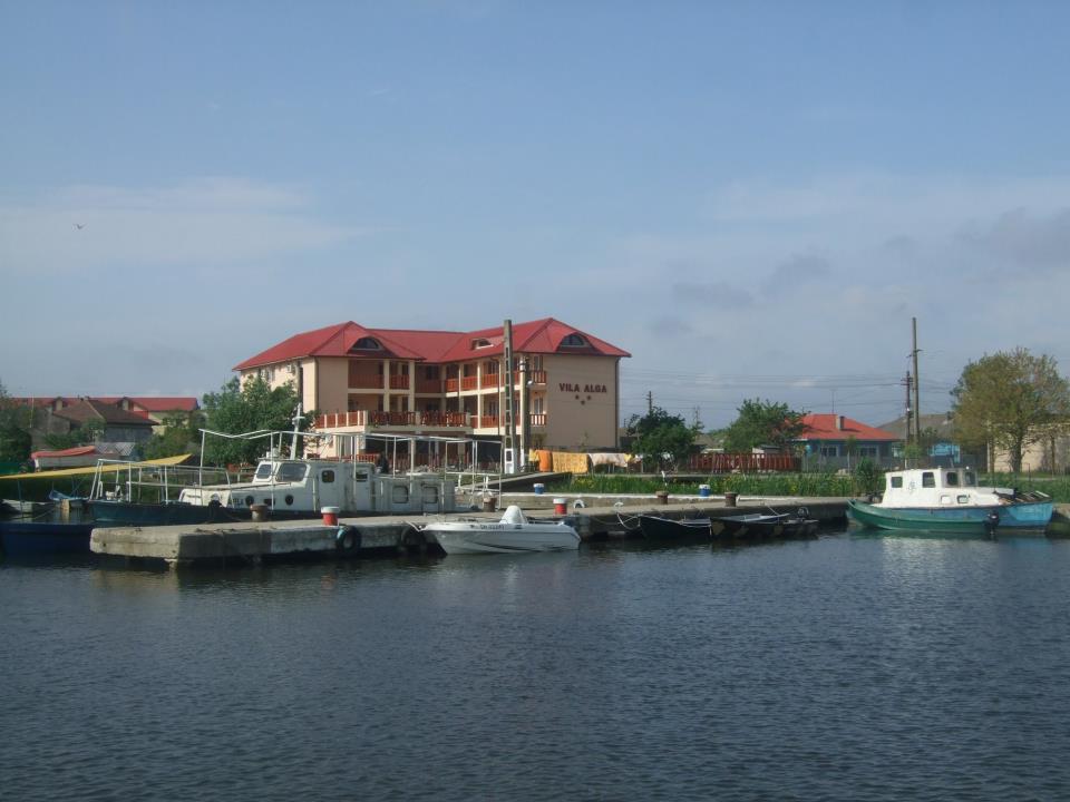 PLIMBARI IN DELTA  - 40728.jpg